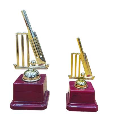 3003 Fiber Cricket Trophy/Sports Trophy/Premium Fiber