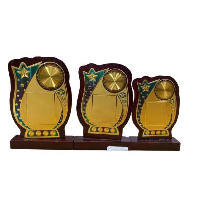 5 Star Memento/Wooden Memento/Corporate Memento