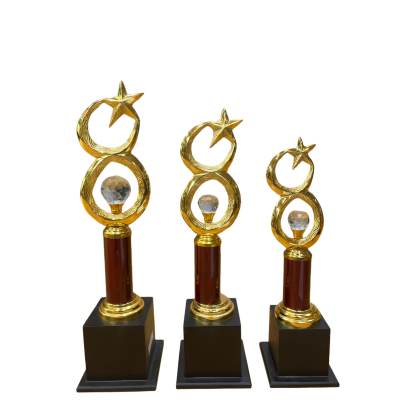 8 Star trophy Premium Quality Metal Award Trophy Corporate Trophy