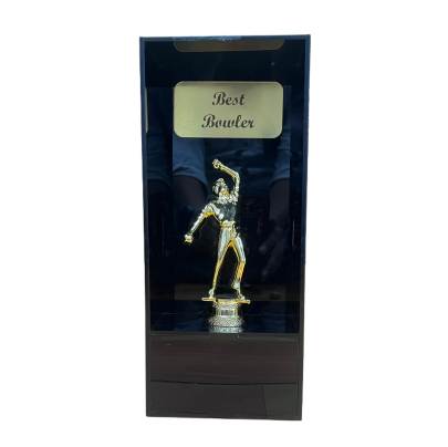 8003 Batsman   Bowler   fielder  Man Of The Series Premium Quality Acrylic Trophy  Cricket Trophy