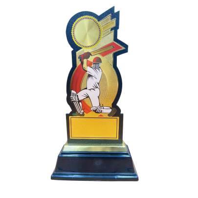 8010 Premium Acrylic Cricket Trophy Cricket Trophy Batsman Trophy Premium Fiber Trophy With Heavy Fiber Base