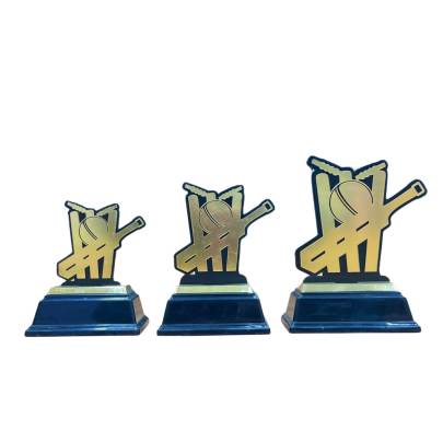 8011 Premium Acrylic Cricket Trophy  Cricket Trophy Batsman Trophy Premium Fiber Trophy With Heavy Fiber Base