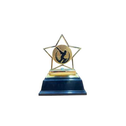 8013 Premium Acrylic Cricket Trophy  Cricket Trophy Batsman Trophy Premium Fiber Trophy With Heavy Fiber Base  