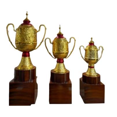 Big Boss Trophy/Cricket Tournament Trophy/Big Trophy/Premium Metal Trophy