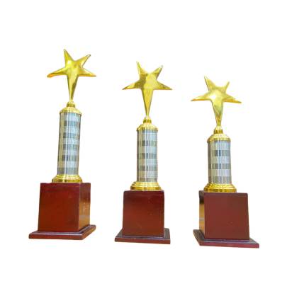 Big Star Trophy/Premium Quality Metal Trophy with Wooden Base/Corporate Trophy/Sports Trophy