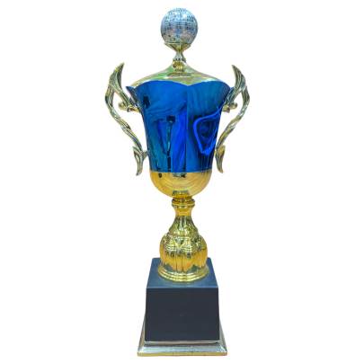 Blue and Golden Color Premium Quality Heavy Fiber Sports Trophy/Fancy Design Premium Trophy for Sports and Corporate Event