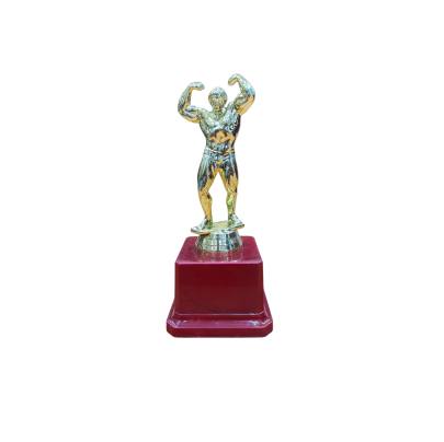 Body Builder Trophy for Body Building Competitions/Tournament | Bodybuilder Sports Trophies for Bodybuilding Championship & Events (Bodybuilders Troph