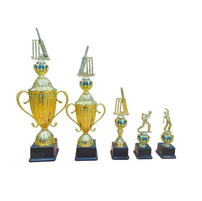 Cricket Trophies Set