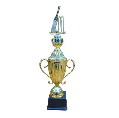 Cricket Trophies Set