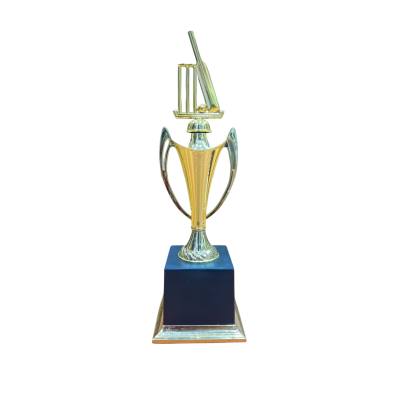 Box/Ground Cricket Trophy Set/Winner/Runner/Batsman/Bowler/Series Trophy Set 1