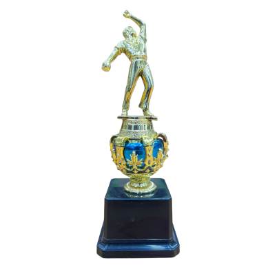 Cricket Trophies Set