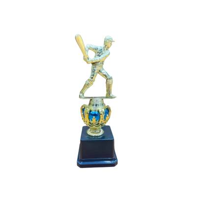 Cricket Trophies Set