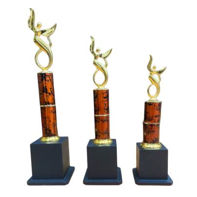 C5001R/Premium Metal Trophy/Corporate trophy/Award Trophy