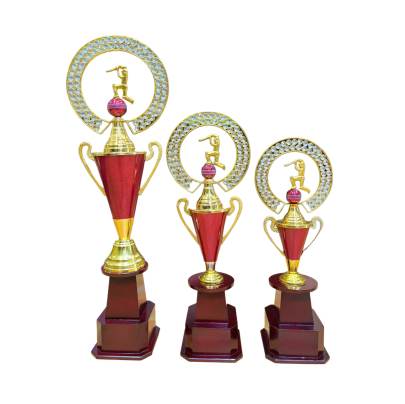 Cone Cricket Cup Red/Metal Champion Trophy Cup/Sports Trophy/premium metal Trophy With Wooden Base