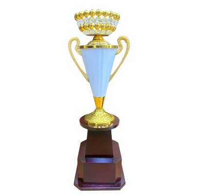 ConeKatora2045/Metal Champion Trophy Cup/Sports Trophy/premium metal Trophy With Wooden Base