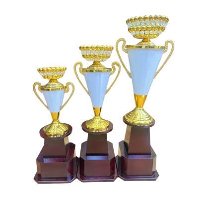 ConeKatora2045/Metal Champion Trophy Cup/Sports Trophy/premium metal Trophy With Wooden Base