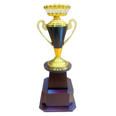 ConeKatora2046/Metal Champion Trophy Cup/Sports Trophy/premium metal Trophy With Wooden Base