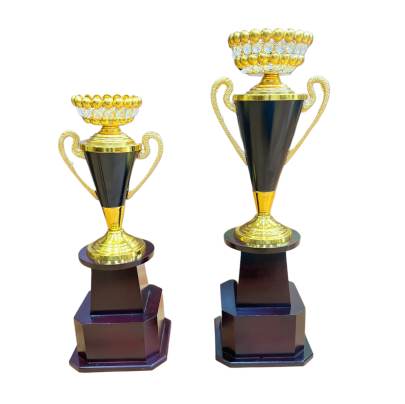 ConeKatora2046/Metal Champion Trophy Cup/Sports Trophy/premium metal Trophy With Wooden Base