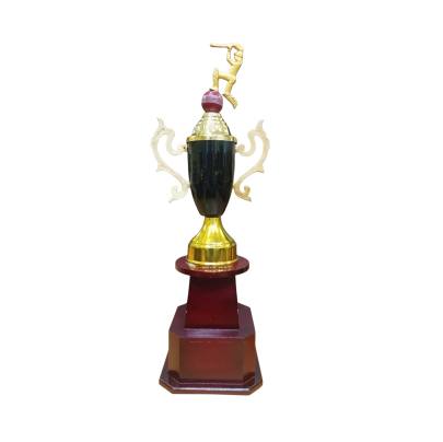 Cricket Cup 110/Sports Trophy/Cricket Winner Trophy/Premium Metal Trophy