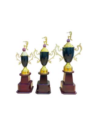 Cricket Cup 110/Sports Trophy/Cricket Winner Trophy/Premium Metal Trophy