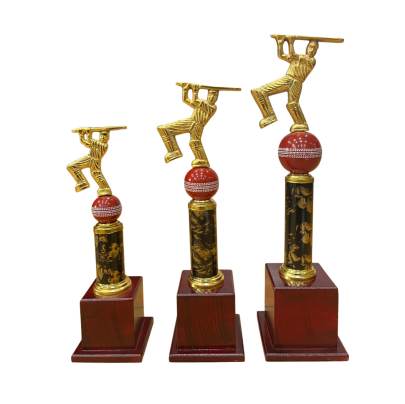Cricket Trophy D.No. 1017/Cricket Tournament Trophy/Corporate Cricket Trophy/Premium metal Trophy