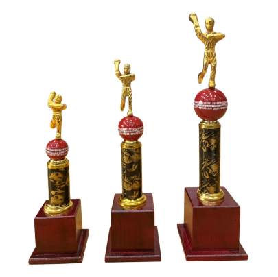 Cricket Trophy D.No. 1018/Cricket Tournament Trophy/Corporate Cricket Trophy/Premium metal Trophy