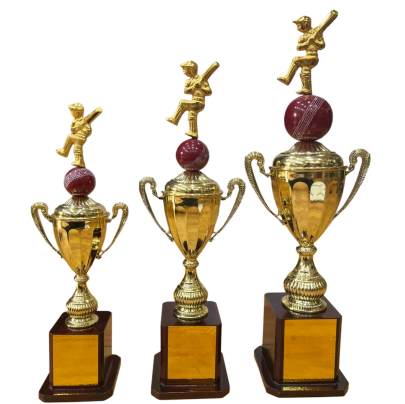 Cricket Trophy D.No. 2006/Cricket Tournament Trophy/Corporate Cricket Trophy/Premium metal Trophy
