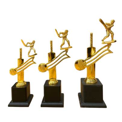 Cricket Trophy D.No. 3037/Cricket Tournament Trophy/Corporate Cricket Trophy/Premium metal Trophy