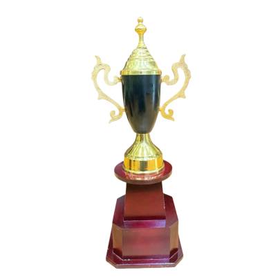 Cup 110 Black/Sports Trophy/Cricket Winner Trophy/Premium Metal Trophy