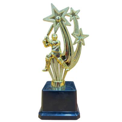 D 702 Cricket Batsman Trophy  Fiber Golden black Trophy