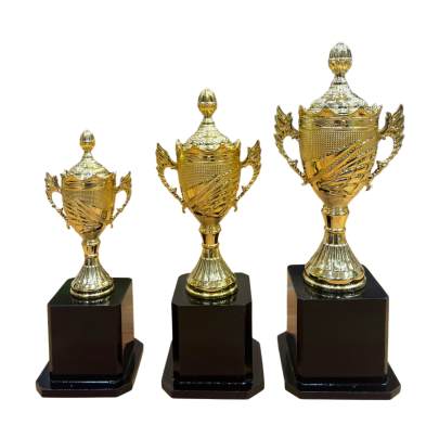 D.No. 2018/Cup Trophy/Cricket Tournament Trophy/Corporate Cricket Trophy/Premium Fiber Trophy