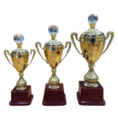 D.No. 2022/Cup Trophy/Cricket Tournament Trophy/Corporate Cricket Trophy/Premium Fiber Trophy