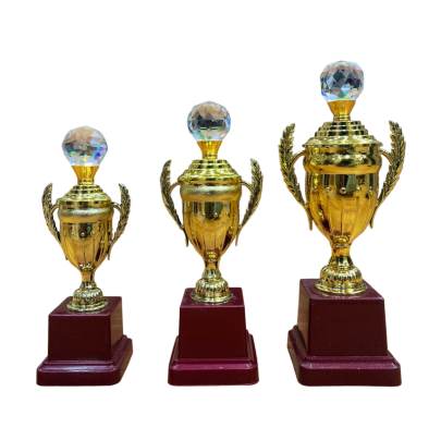 D.No. 2024/Cup Trophy/Cricket Tournament Trophy/Corporate Cricket Trophy/Premium Fiber Trophy