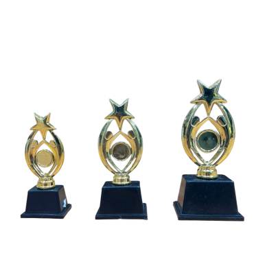 D.No. 2025/Cricket Tournament Trophy/Corporate Cricket Trophy/Premium Fiber Trophy/Low Budget Trophy