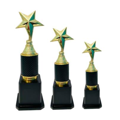 D.No. 3002 Star Design Trophy/Premium Fiber Metallic Trophy/Corporate Trophy