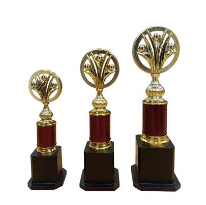 D.No. 3010/Corporate Trophy/Cricket Tournament Trophy/event trophy/Premium Fiber Trophy