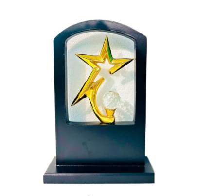 D No  3029 Star Design Trophy Premium Metal Trophy Corporate Trophy