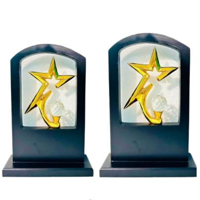 D No  3029 Star Design Trophy Premium Metal Trophy Corporate Trophy