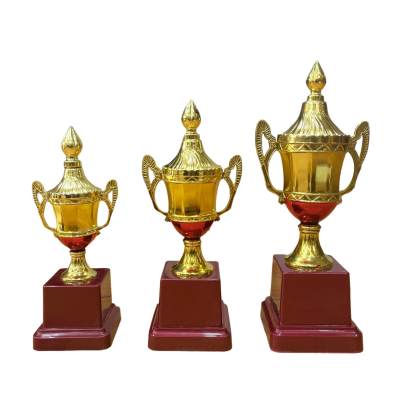 D No  2039 Cricket Tournament Trophy Corporate Cricket Trophy Premium Fiber Trophy