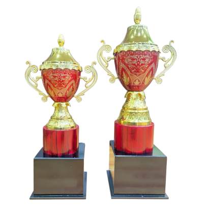 D1012/Big Size Premium Metal Trophy With wooden base/Sports Trophy/Corporate Sports Trophy