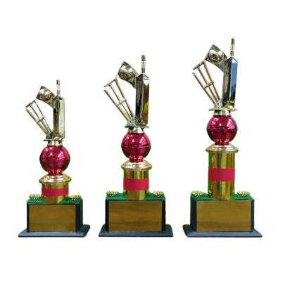 D1049 Fiber material Cricket Trophy