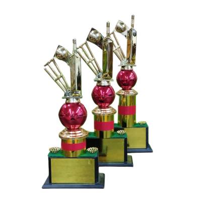 D1049 Fiber material Cricket Trophy