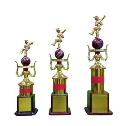 D1050 premium Fiber Cricket Trophy/sports Trophy