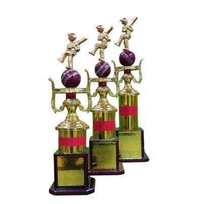 D1050 premium Fiber Cricket Trophy/sports Trophy