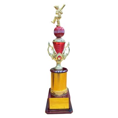 D1057 Premium Cricket Trophy/Cricket Trophy/Sports Trophy