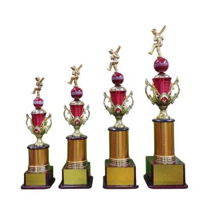 D1057 Premium Cricket Trophy/Cricket Trophy/Sports Trophy