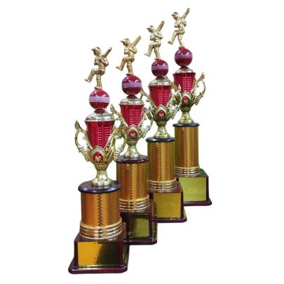 D1057 Premium Cricket Trophy/Cricket Trophy/Sports Trophy