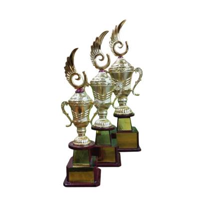 D1062 premium fiber Trophy/Cricket/Sports/Corporate Trophy