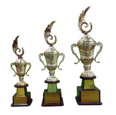 D1062 premium fiber Trophy/Cricket/Sports/Corporate Trophy