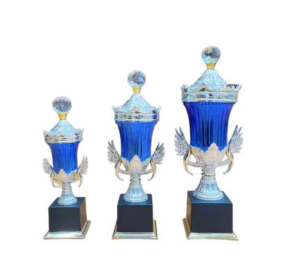 D2024/Blue Fiber Trophy/ Acrylic Trophy/Corporate Trophy